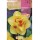 S.BOLBO SAQUETA ROCALBA NARCISO DOBRADO TAHIT IAMARELO CENTRO LARANJA-EBND5620<br>