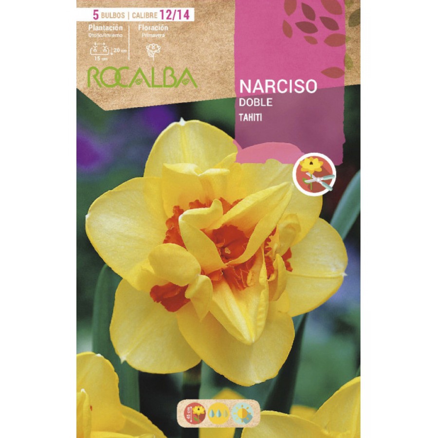 S.BOLBO SAQUETA ROCALBA NARCISO DOBRADO TAHIT IAMARELO CENTRO LARANJA-EBND5620<br> S.BOLBO SAQUETA ROCALBA NARCISO DOBRADO TAHIT IAMARELO CENTRO LARANJA-EBND5620<br>