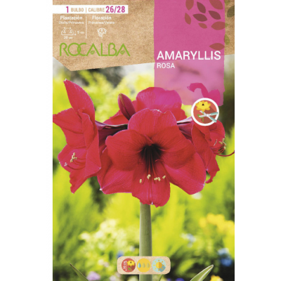S.BOLBO SAQUETA AMARYLLIS ROSA - EBAM5895