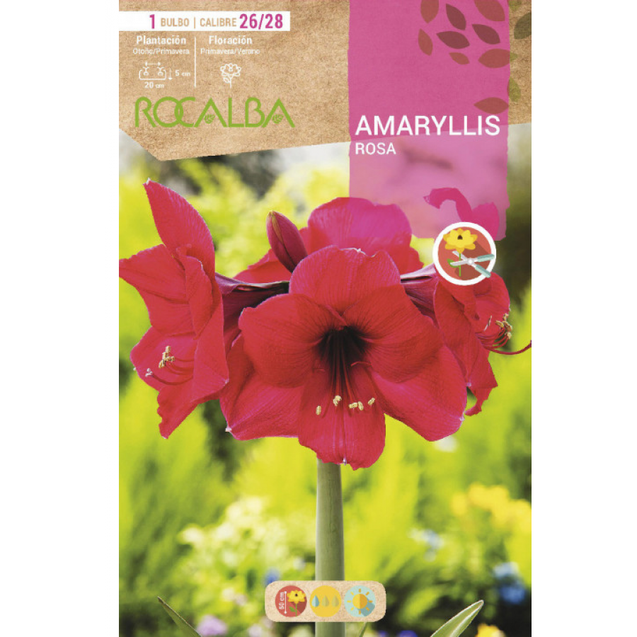 S.BOLBO SAQUETA AMARYLLIS ROSA - EBAM5895