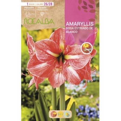 S.BOLBO SAQUETA RO.AMARILIS LISTRADO ROSA COM BRANCO- EBAM5900
