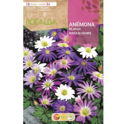 S.BOLBO SAQUETA ROCALBA ANEMONA MISTURA DE CORES - EBAB5930