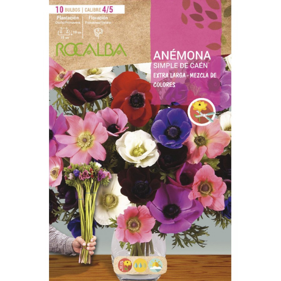 S.BOLBO SAQUETA ROCALBA ANEMONA SIMPLES MISTURA DE CORES CAEN EX.LONGA EBAG6080 S.BOLBO SAQUETA ROCALBA ANEMONA SIMPLES MISTURA DE CORES CAEN EX.LONGA EBAG6080