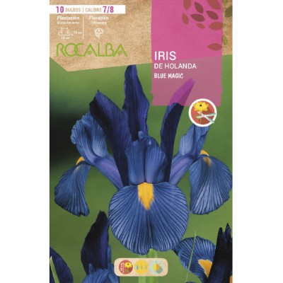 S.BOLBO RO.SAQUETA IRIS DA HOLANDA BLUE MAGIC AZUL -EBIR6260