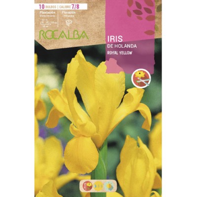 S.BOLBO RO.SAQUETA IRIS DA HOLANDA ROYAL YELLOW AMARELO-EBIR6265