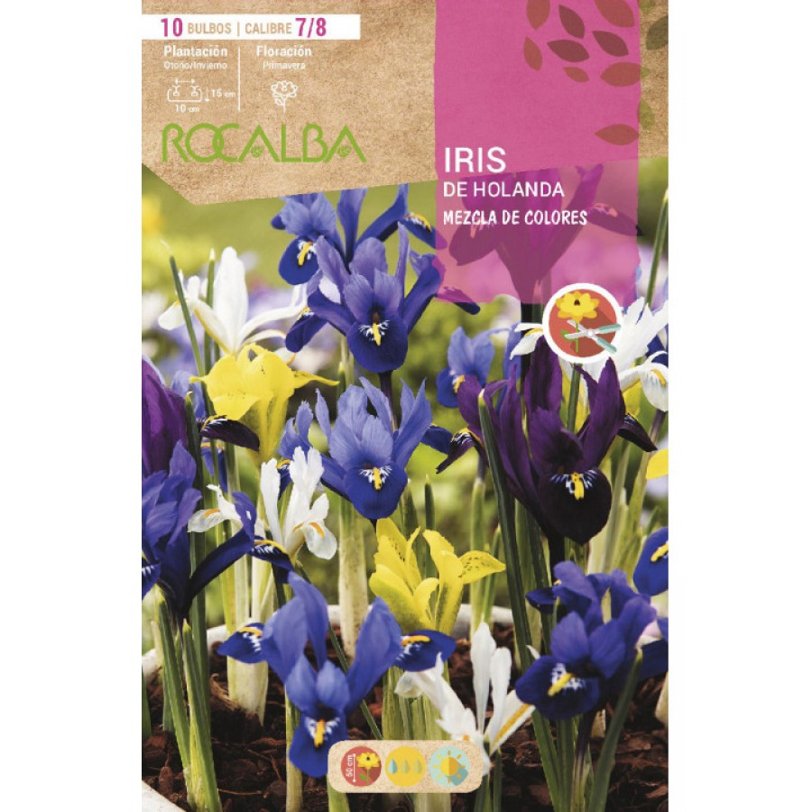 S.BOLBO RO.SAQUETA IRIS HOLANDA MISTURA DA CORES-EBIR6275 S.BOLBO RO.SAQUETA IRIS HOLANDA MISTURA DA CORES-EBIR6275
