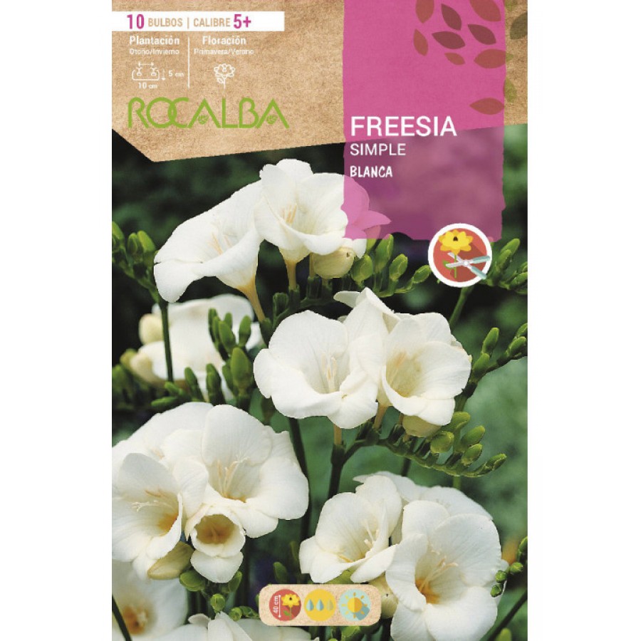 S.BOLBO RO.SAQUETA FRESIA SIMPLES BRANCA - EBFR6310 S.BOLBO RO.SAQUETA FRESIA SIMPLES BRANCA - EBFR6310