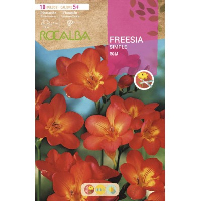 S.BOLBO RO.SAQUETA FRESIA SIMPLES VERMELHO - EBFR6330
