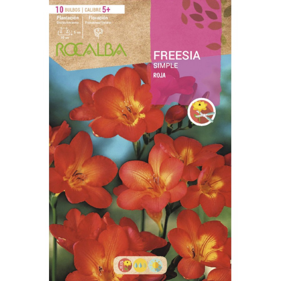 S.BOLBO RO.SAQUETA FRESIA SIMPLES VERMELHO - EBFR6330 S.BOLBO RO.SAQUETA FRESIA SIMPLES VERMELHO - EBFR6330