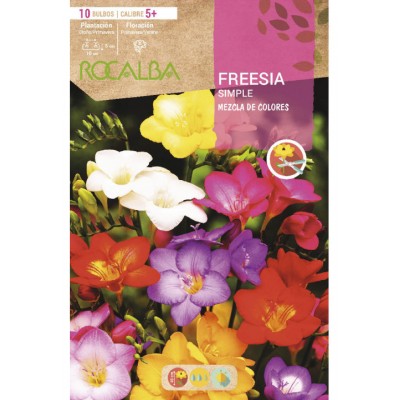 S.BOLBO RO.SAQUETA FRESIA SIMPLES  MISTURA DE CORES - EBFR6335