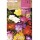 S.BOLBO RO.SAQUETA FRESIA SIMPLES  MISTURA DE CORES - EBFR6335