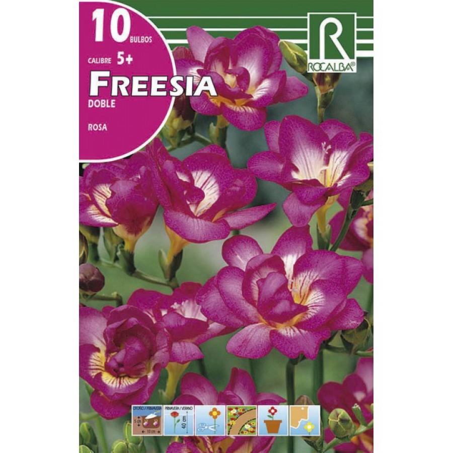 S.BOLBO RO.SAQUETA FRESIA DOBRADA ROSA-EBFD6355 S.BOLBO RO.SAQUETA FRESIA DOBRADA ROSA-EBFD6355