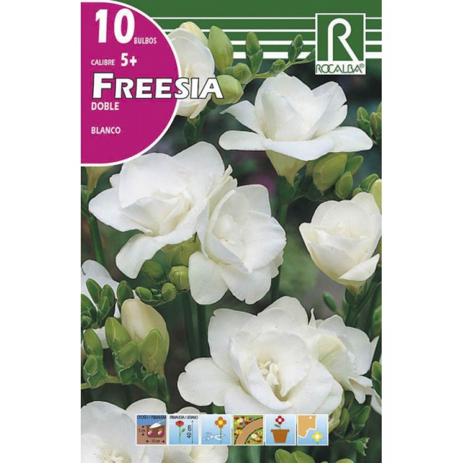 S.BOLBO RO.SAQUETA FRESIA DOBRADA BRANCA - EBFD6360