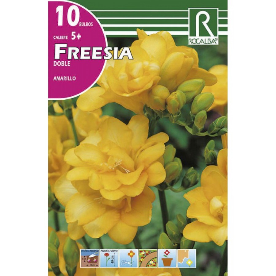 S.BOLBO RO.SAQUETA FRESIA DOBRADA AMARELO-EBFD6370 S.BOLBO RO.SAQUETA FRESIA DOBRADA AMARELO-EBFD6370