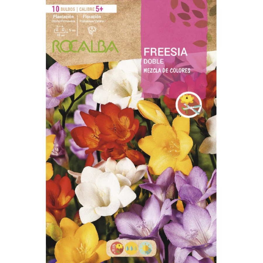 S.BOLBO RO.SAQUETA FRESIA DOBRADA MISTURA DE CORES - EBFD6380 S.BOLBO RO.SAQUETA FRESIA DOBRADA MISTURA DE CORES - EBFD6380