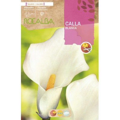 S.BOLBO SAQUETA CALLA JARRO BRANCO-EBCL6535