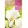 S.BOLBO SAQUETA CALLA JARRO BRANCO-EBCL6535