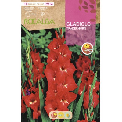 S.BOLBO SAQUETA  GALADIOLO TRADERHORN-EBGL8005