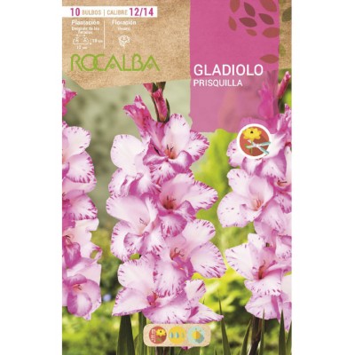 S.BOLBO SAQUETA GALADIOLO PRISQUILLA -EBGL8035