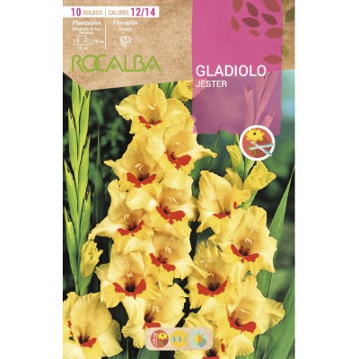S.BOLBO SAQUETA GALADIOLO JESTER-EBGL8100
