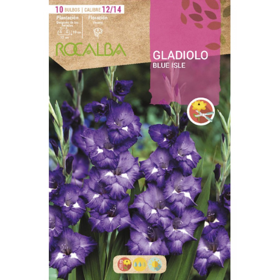 S.BOLBO SAQUETA GALADIOLO BLUE ISLE - EBGL8105