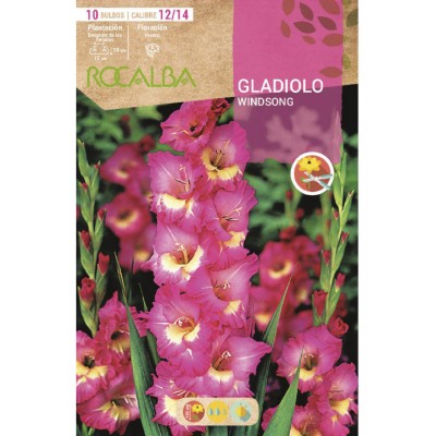 S.BOLBO SAQUETA RO. GALADIOLO WINDSONG-EBGL8115