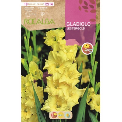 S.BOLBO SAQUETA RO. GALADIOLO JESTERGOLD-EBGL8120