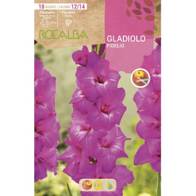 S.BOLBO SAQUETA GALADIOLO FIDELIO - EBGL8125