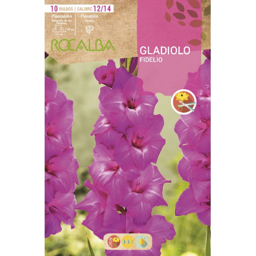 S.BOLBO SAQUETA GALADIOLO FIDELIO - EBGL8125 S.BOLBO SAQUETA GALADIOLO FIDELIO - EBGL8125