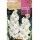 S.BOLBO SAQUETA GALADIOLO WHITE FRIENDSHIP-EBGL8150