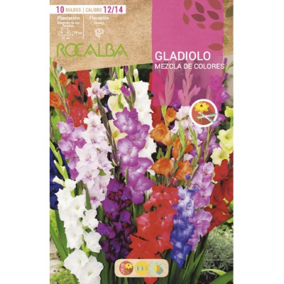 S.BOLBO SAQUETA GALADIOLO MISTURA CORES-EBGL8160