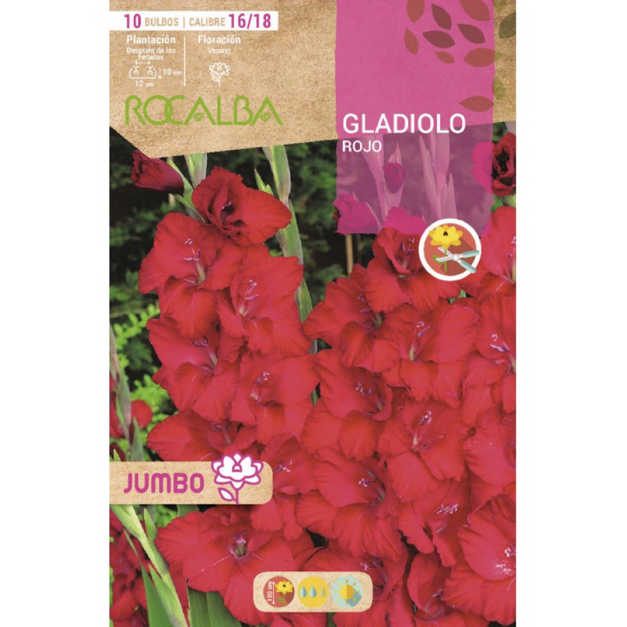 S.BOLBO SAQUETA GALADIOLO JUMBO VERMELHO -EBGJ8200