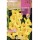 S.BOLBO SAQUETA GALADIOLO JUMBO AMARELO -EBGJ8205