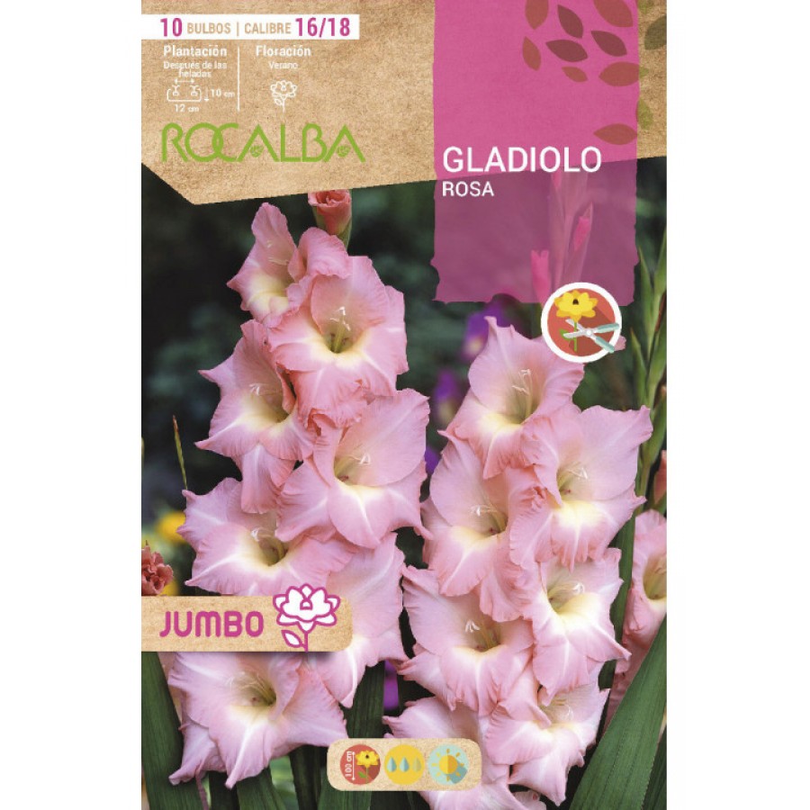 S.BOLBO SAQUETA GALADIOLO JUMBO ROSA -EBGJ8215 S.BOLBO SAQUETA GALADIOLO JUMBO ROSA -EBGJ8215