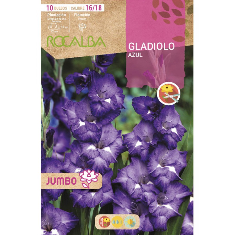 S.BOLBO SAQUETA GALADIOLO JUMBO AZUL -EBGJ8220 S.BOLBO SAQUETA GALADIOLO JUMBO AZUL -EBGJ8220