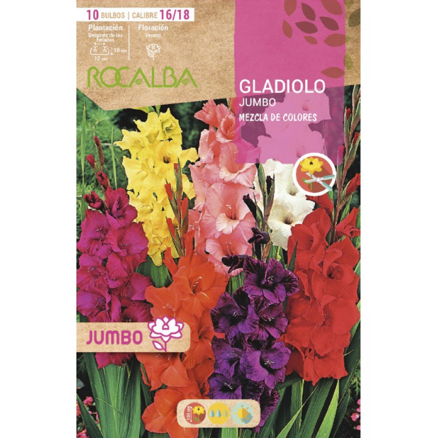 S.BOLBO SAQUETA GALADIOLO JUMBO MISTURA -EBGJ8225