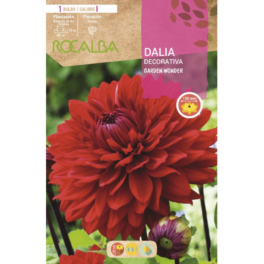 S.BOLBO SAQUETA DALIA DECORATIVA GARDEN WONDER-EBDD8270