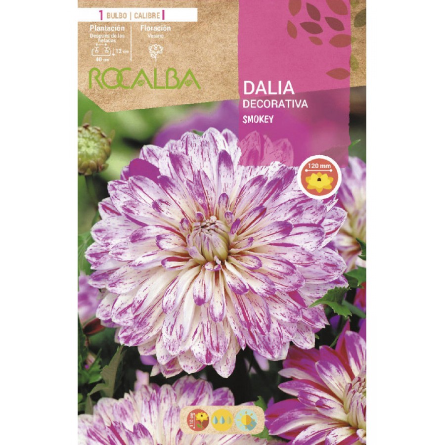 S.BOLBO SAQUETA DALIA DECORATIVA SMOKEY - EBDD8320 S.BOLBO SAQUETA DALIA DECORATIVA SMOKEY - EBDD8320