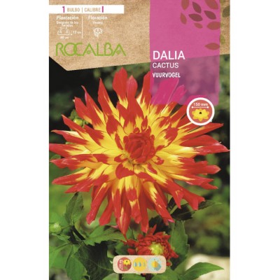 S.BOLBO SAQUETA DALIA CACTUS VUURVOGEL AMARELA PONTAS VERMELHAS