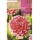S.BOLBO SAQUETA DALIA POMPOM LITTLE WILLIAM - EBDP8490
