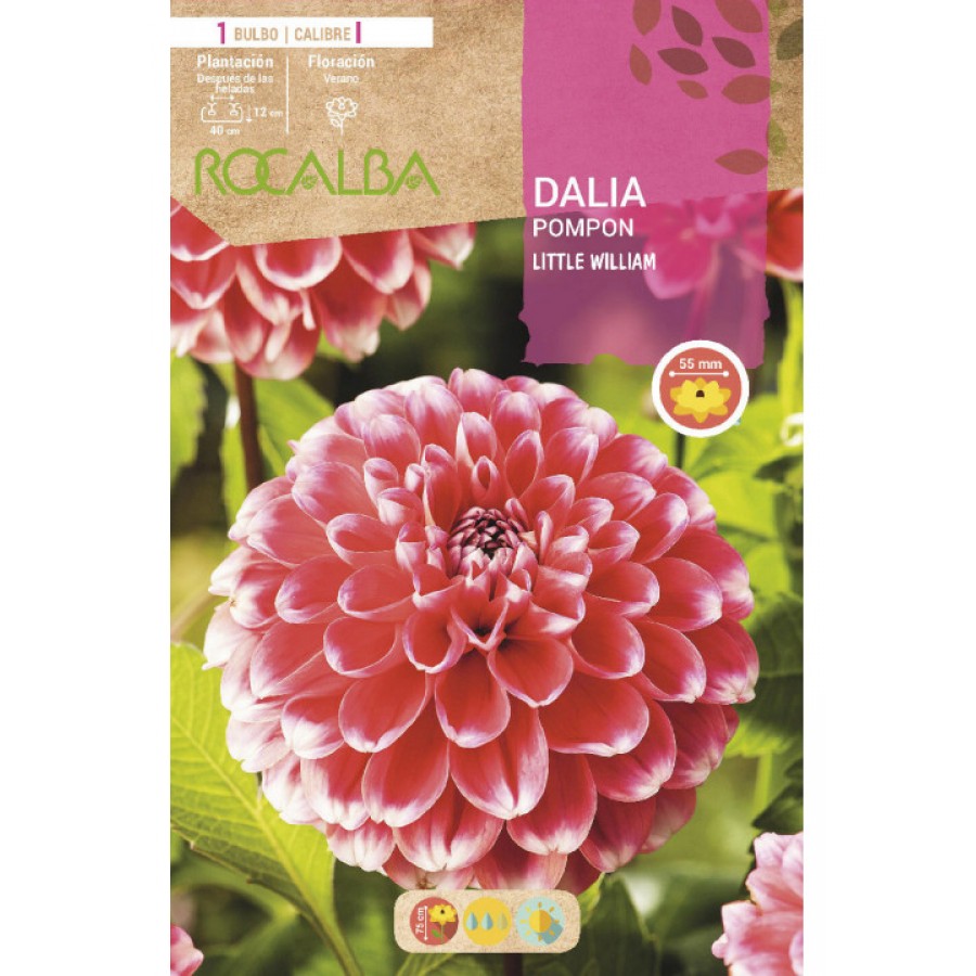 S.BOLBO SAQUETA DALIA POMPOM LITTLE WILLIAM - EBDP8490 S.BOLBO SAQUETA DALIA POMPOM LITTLE WILLIAM - EBDP8490