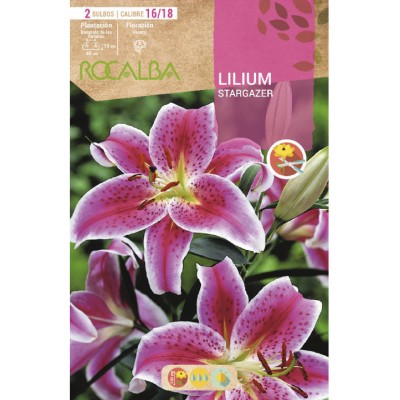 S.BOLBO SAQUETA LILIUM STARGAZER -EBLI8640