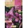 S.BOLBO SAQUETA LILIUM JUMBO PINK PERFECTION-EBLJ8665