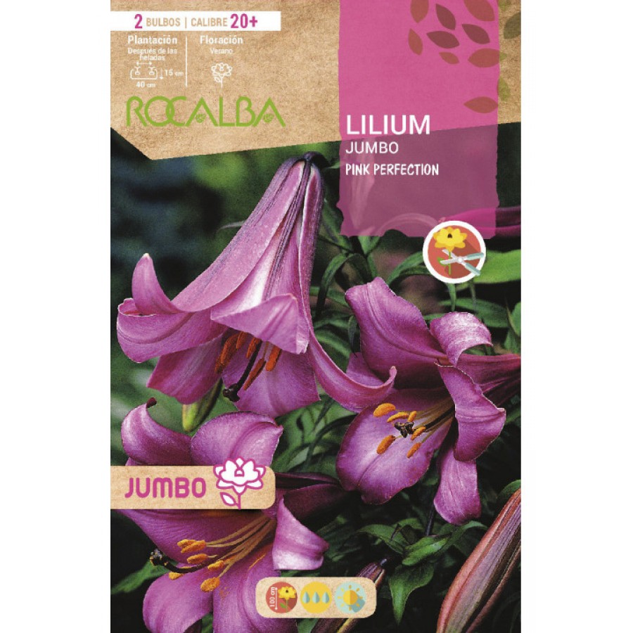 S.BOLBO SAQUETA LILIUM JUMBO PINK PERFECTION-EBLJ8665 S.BOLBO SAQUETA LILIUM JUMBO PINK PERFECTION-EBLJ8665