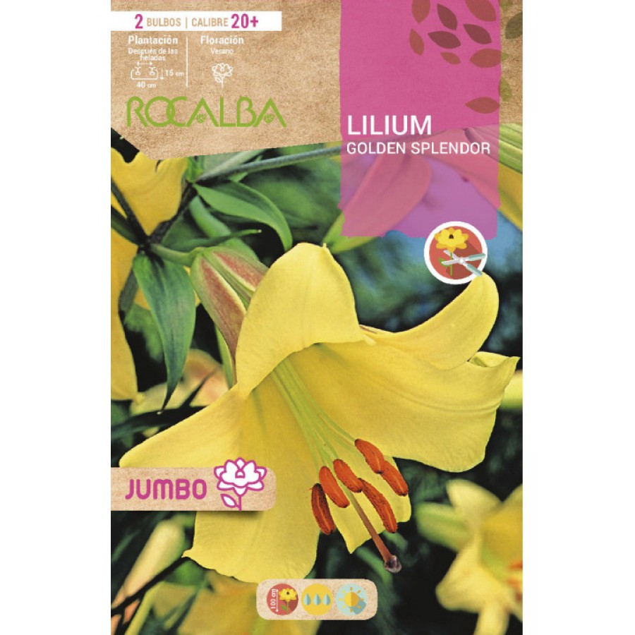 S.BOLBO SAQUETA LILIUM JUMBO GOLDEN SPLENDOR-EBLJ8675 S.BOLBO SAQUETA LILIUM JUMBO GOLDEN SPLENDOR-EBLJ8675
