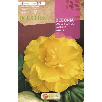 S.BOLBO SAQUETA RO.BEGONIA FC AMARILLO-EBBG8705