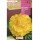 S.BOLBO SAQUETA RO.BEGONIA FC AMARILLO-EBBG8705