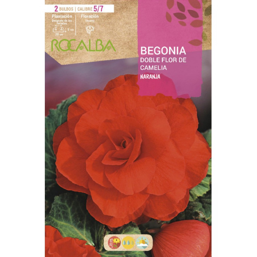 S.BOLBO SAQUETA BEGONIA LARANJA-EBBG8720 S.BOLBO SAQUETA BEGONIA LARANJA-EBBG8720