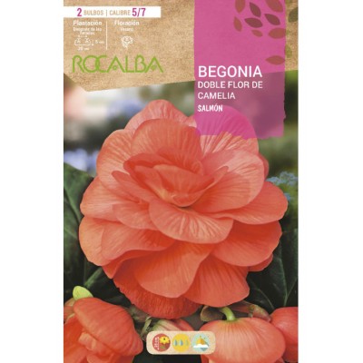 S.BOLBO SAQUETA RO.BEGONIA FC SALMON-EBBG8725