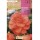 S.BOLBO SAQUETA RO.BEGONIA FC SALMON-EBBG8725
